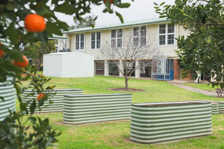 Image of the community garden